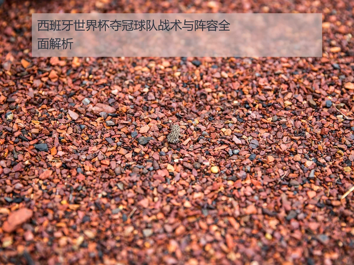 西班牙世界杯夺冠球队战术与阵容全面解析